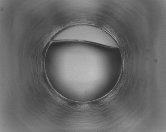 X0000072980301200607211012