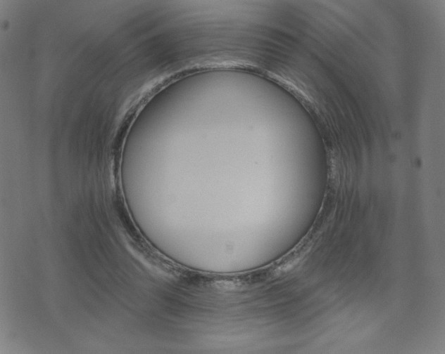 X0000072980302200607211012