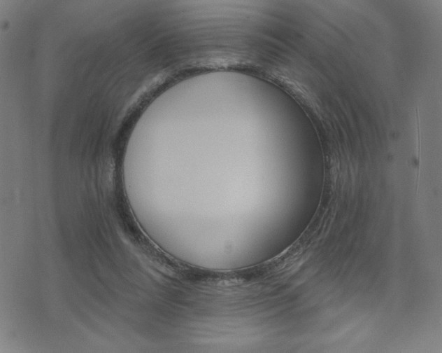 X0000072980304200607211012