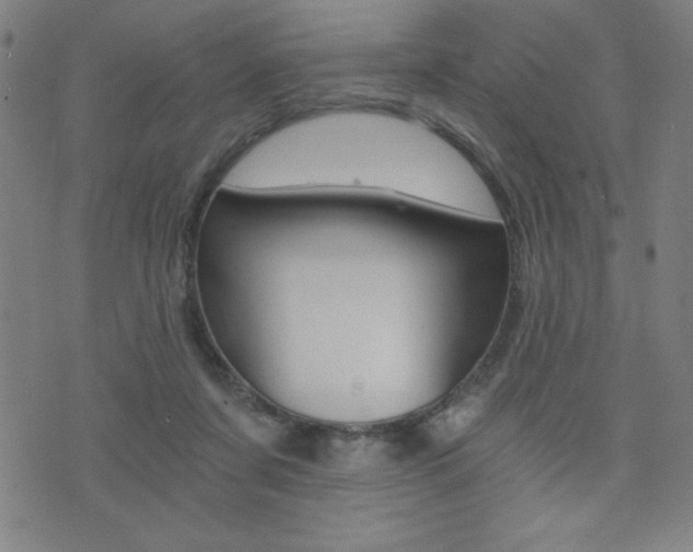 X0000072980311200607211012