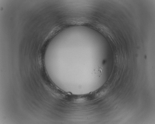 X0000072980312200607211012