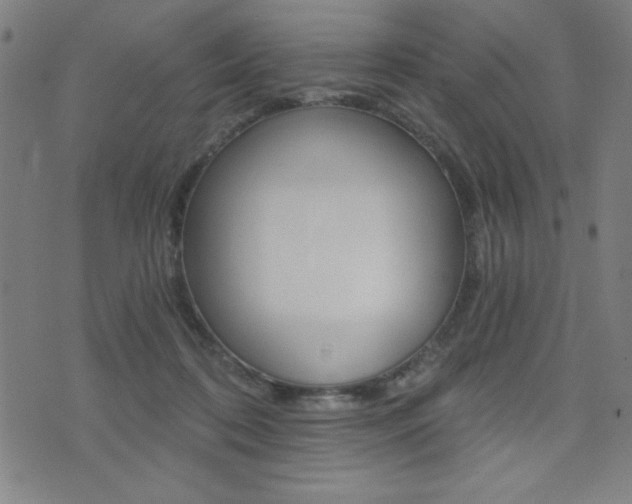 X0000072980316200607211012