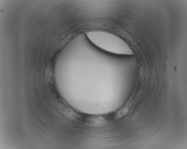 X0000072980322200607211012