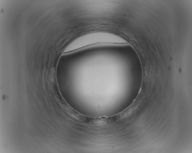 X0000072980325200607211012