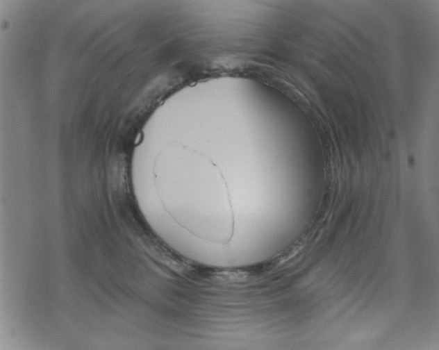 X0000072980328200607211012