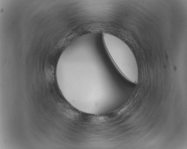 X0000072980332200607211012