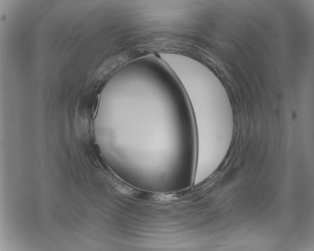 X0000072980333200607211012