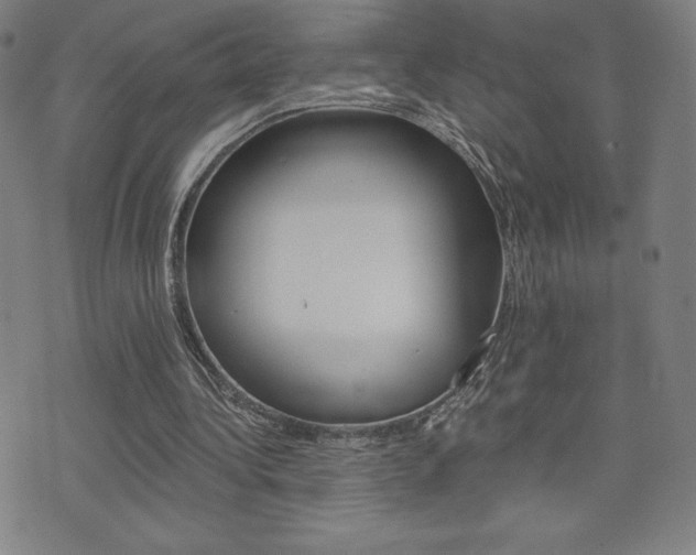 X0000072980340200607211011