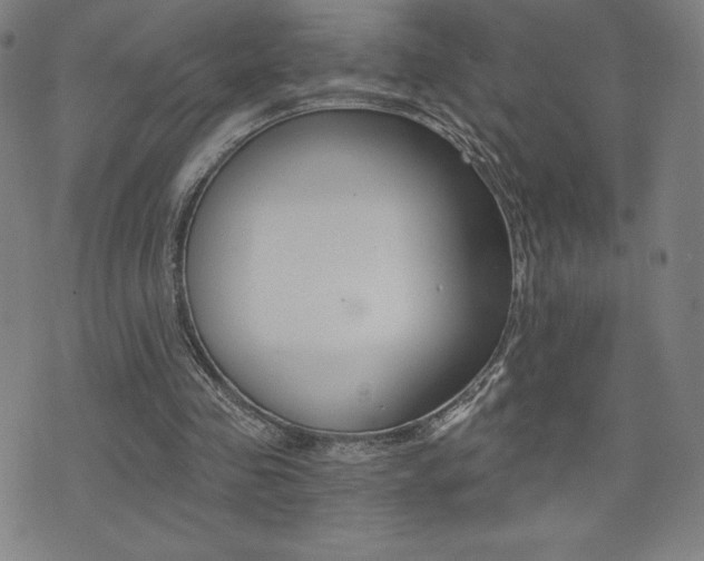 X0000072980341200607211011