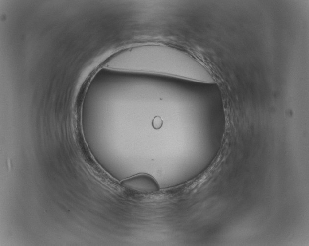 X0000072980342200607211011