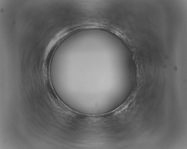 X0000072980343200607211011
