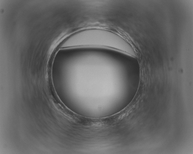X0000072980344200607211011