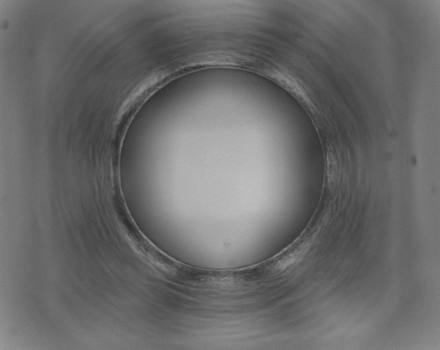 X0000072980349200607211011