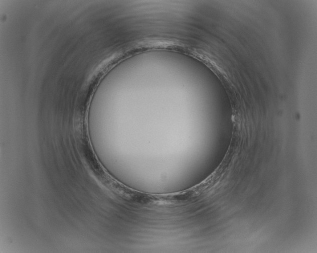 X0000072980352200607211011