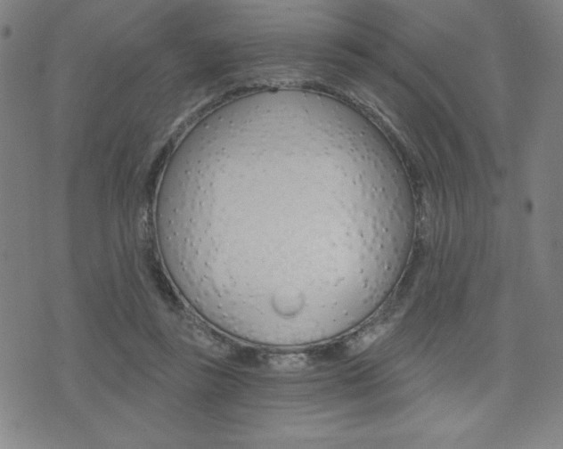 X0000072980355200607211011
