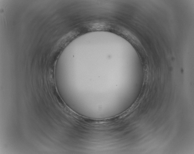 X0000072980361200607211011