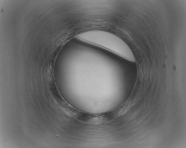 X0000072980364200607211011