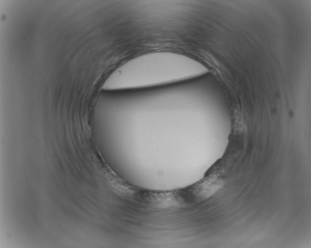 X0000072980377200607211012