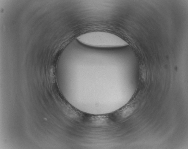 X0000072980378200607211012