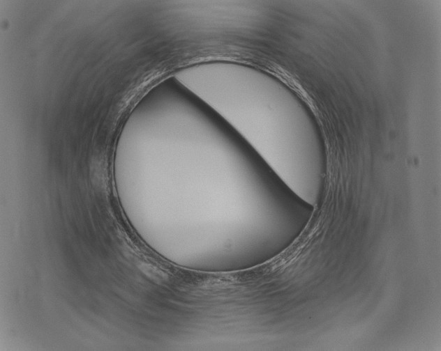 X0000072980386200607211011