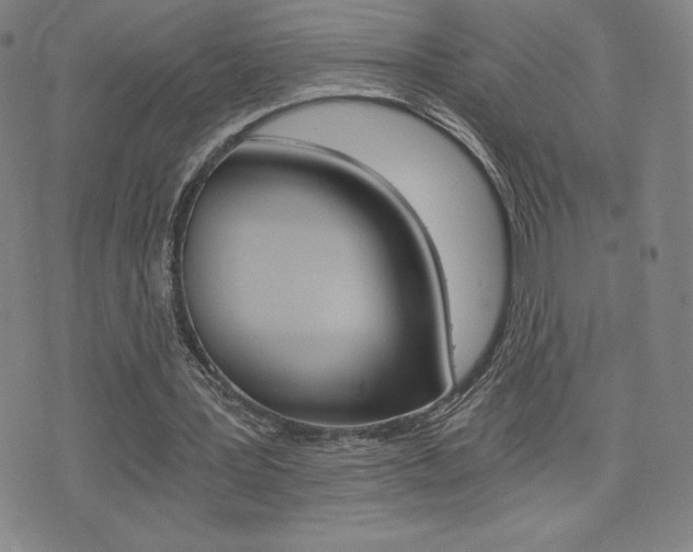 X0000072980387200607211011