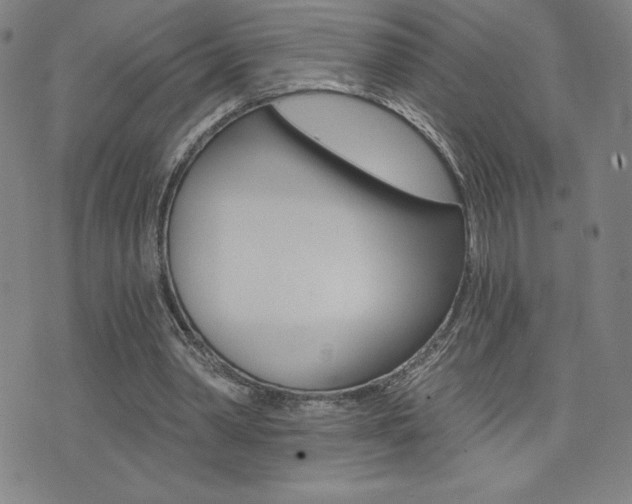 X0000072980390200607211011