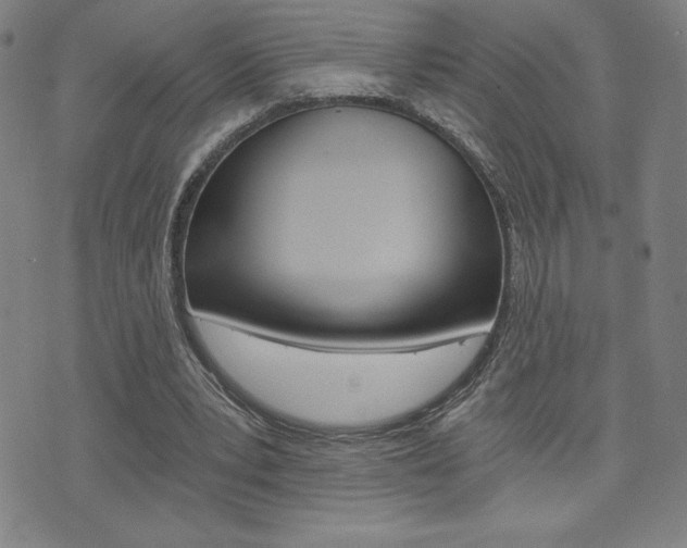 X0000072980391200607211011