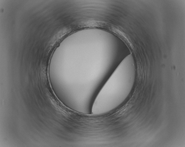X0000072980394200607211011