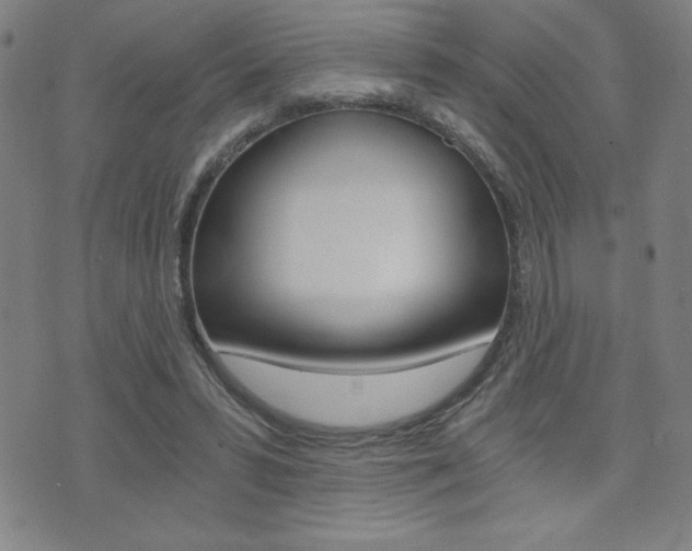 X0000072980399200607211011
