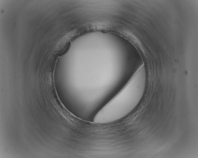 X0000072980401200607211011