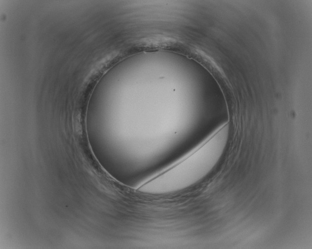 X0000072980403200607211011