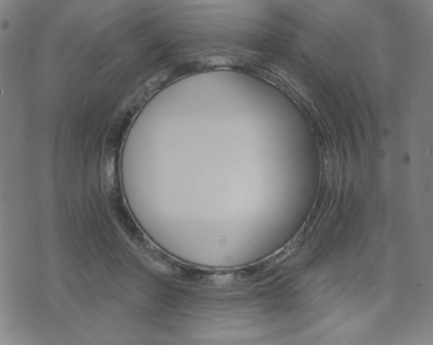 X0000072980406200607211011