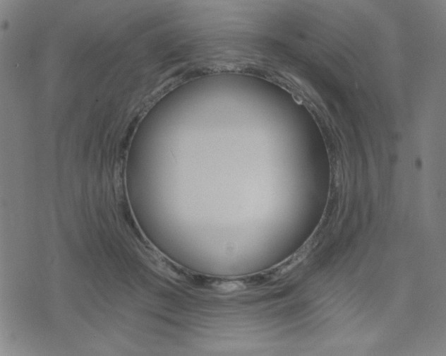 X0000072980409200607211011