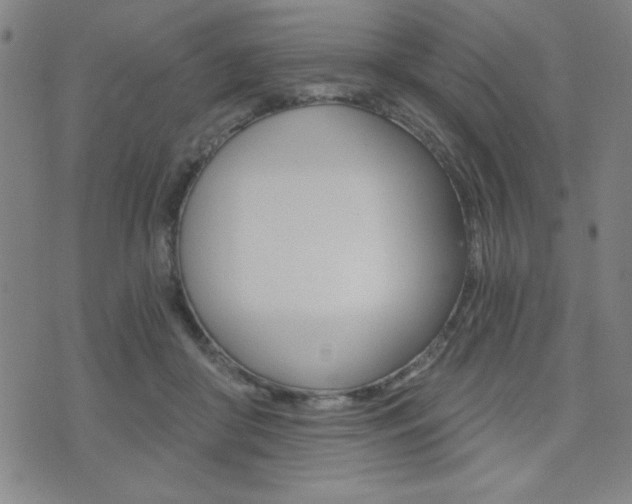 X0000072980410200607211011