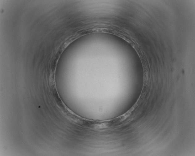 X0000072980411200607211011