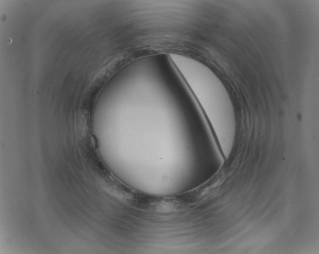 X0000072980412200607211011