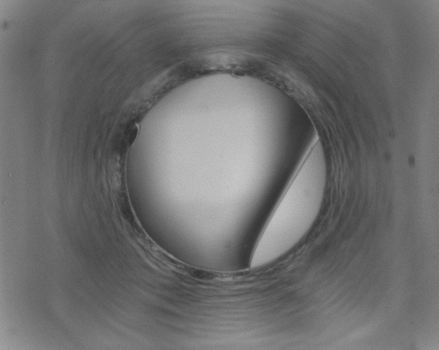 X0000072980413200607211010