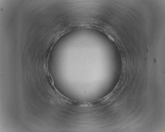 X0000072980415200607211010