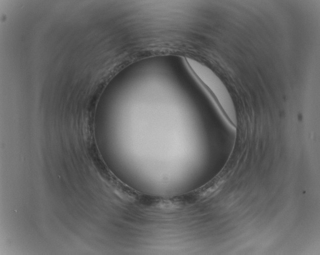 X0000072980416200607211010