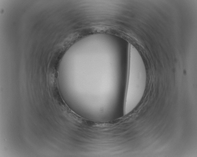 X0000072980417200607211010