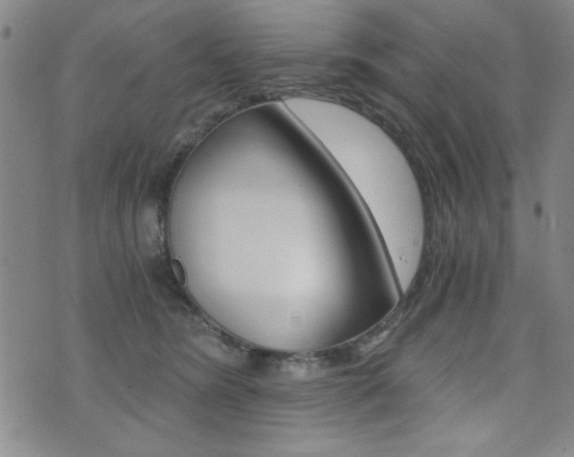 X0000072980420200607211010