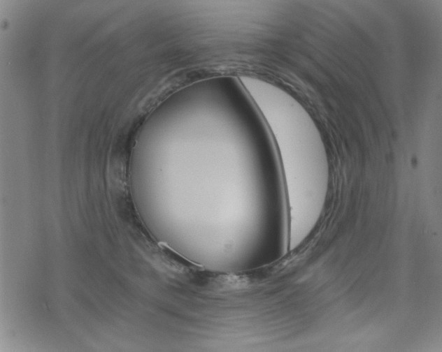 X0000072980421200607211010