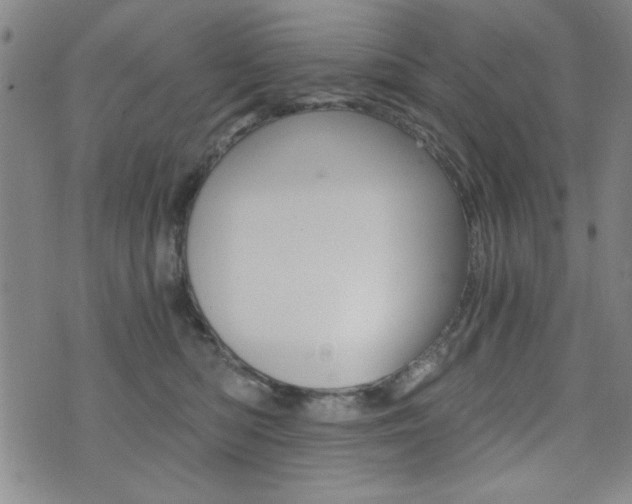 X0000072980422200607211010