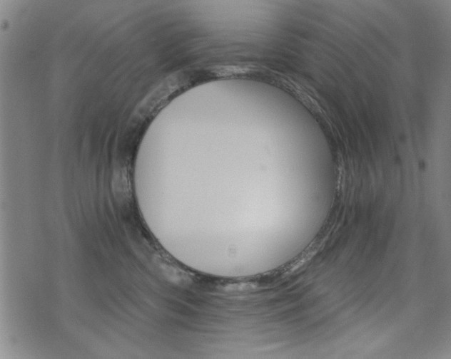 X0000072980426200607211010