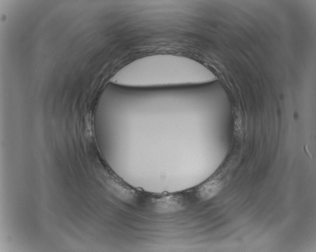 X0000072980430200607211010