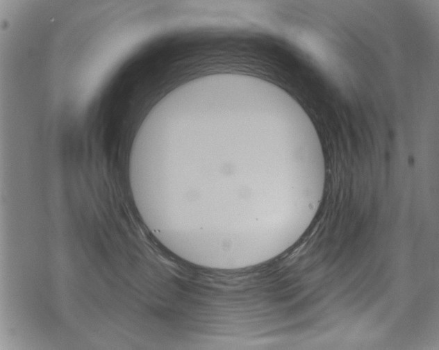 X0000072980431200607211010