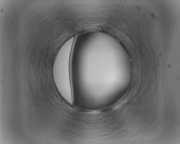 X0000072980432200607211010