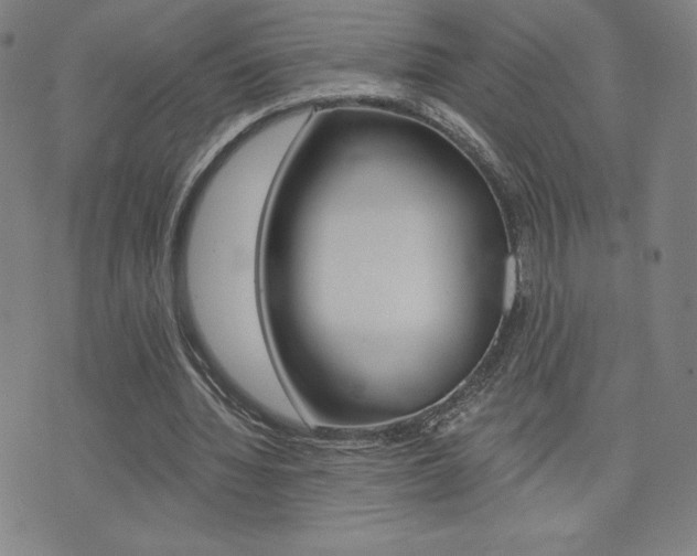 X0000072980436200607211009