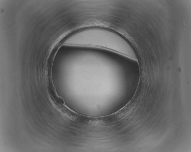 X0000072980440200607211010