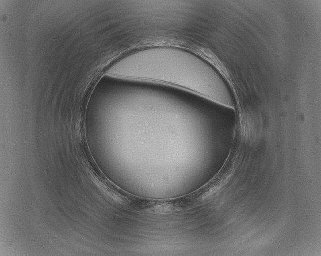 X0000072980441200607211010